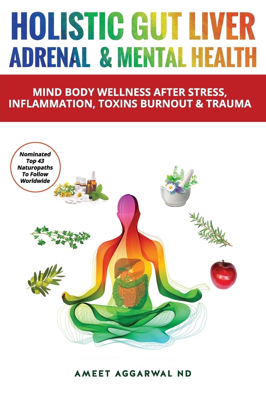 Holistic Gut, Liver, Adrenal & Mental Health: Mind Body Wellness After Stress, Inflammation, Toxins, Burnout & Trauma (Holistic Medicine, Family ... Mental Health, Gut Health & Liver Health)