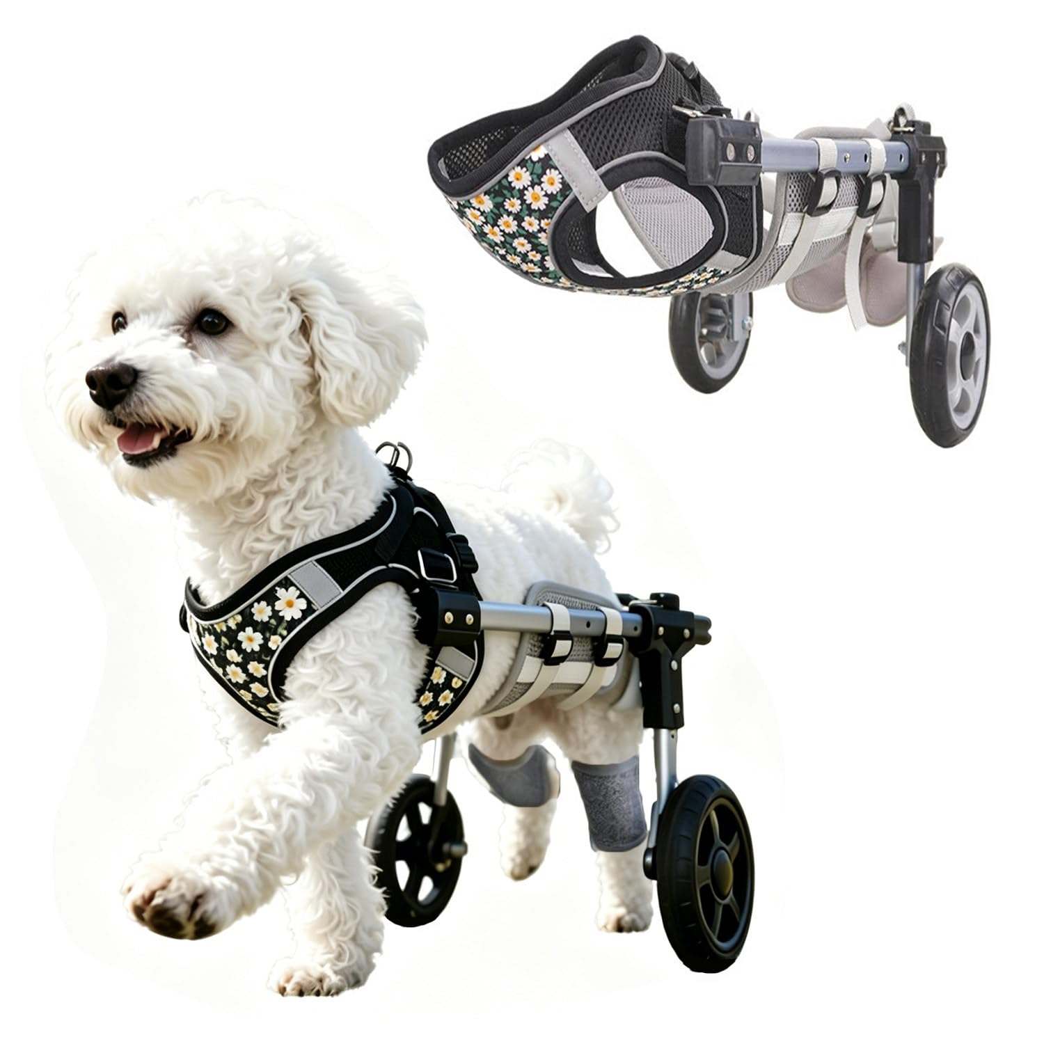 Carrellino per Cani, Supporto Zampe Posteriori, Ausilio Mobilità Regolabile Black-M | Con Supporto per Zampe Posteriori E Addome, Ideale per Cani E Gatti Con Lesioni O Problemi Di Mobilità