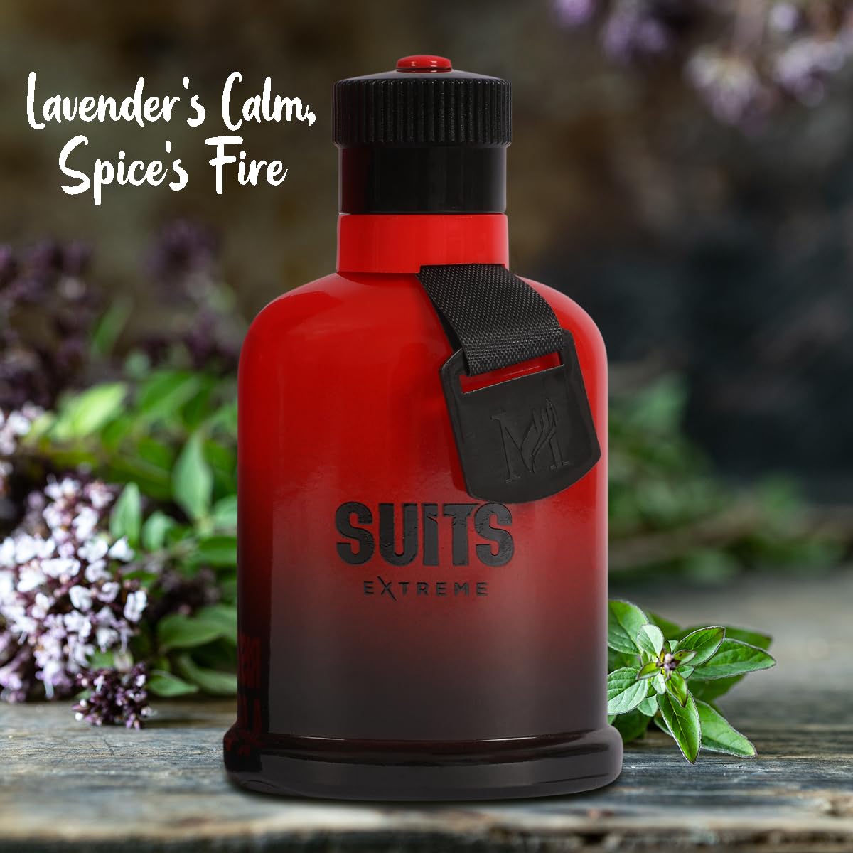 Amazon.com : Suits Extreme Eau de Toilette for Men Spicy Woody