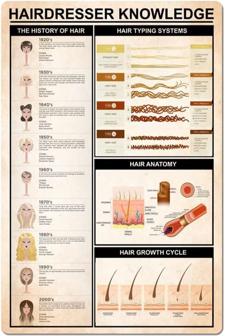 rayprint Barber Poster Vintage Wall Art Hairdresser Knowledge Canvas Painting Prints Barber Shop Decor Hair Anatomy Chart Frameless Poster Art Wall Decor 8x12inches