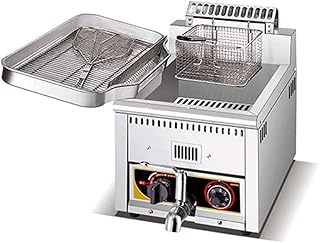 Friteuse à gaz, Frites et Beignets à contrôle Automatique de la température Commerciale Friteuse à gaz, échappement Intelligent, pour Le ménage des Restaurants