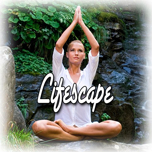 Meditation Zen Masters