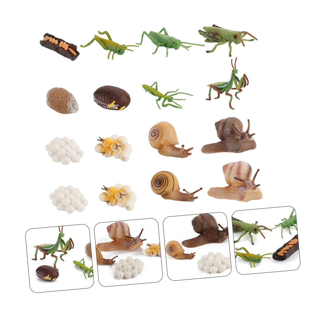 Modelo de Crecimiento Animal 16 Piezas Abs para Niños