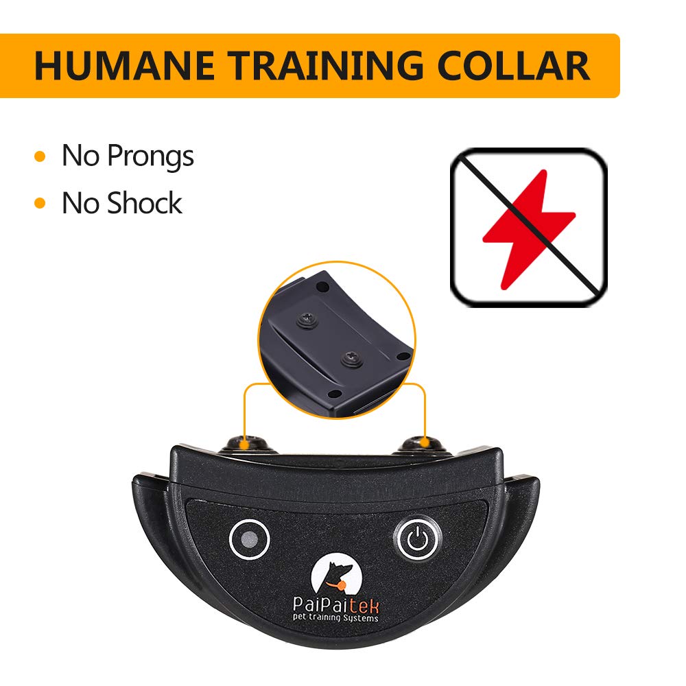 no shock training collar