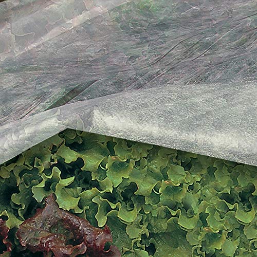 TENAX Ortoclima Wachstumsvlies 1,60x5 m Weiß, leichtes Frost- und Schutzvlies für Pflanzen und Kulturen, aus Vliesstoff 17 g/m², Schützt Pflanzen, Blumen und Gemüse vor Kälte und Wind