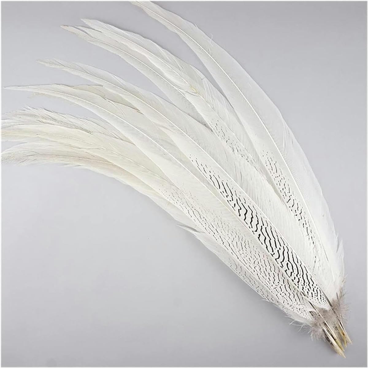 Piume, piume di coda di fagiano argentate 10-80 cm 4-32" piume di coda di fagiano argentate per artigianato decorazioni fai da te grandi piume lunghe bianche argentate piume piumaggio boa-10 pez