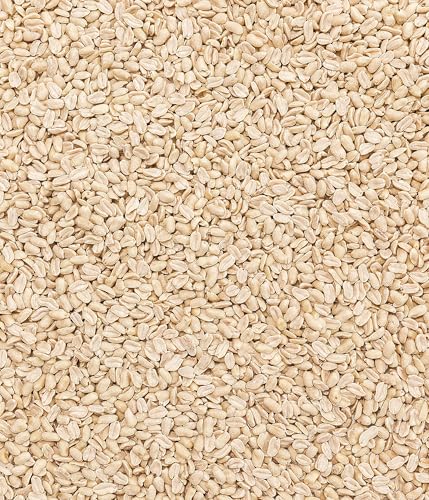 Dehner Natura Premium Wildvogelfutter, halbe / ganze Erdnüsse schalenfrei, Ganzjahresfutter proteinreich / energiereich, hochwertiges Vogelfutter für Wildvögel, 3.4 kg