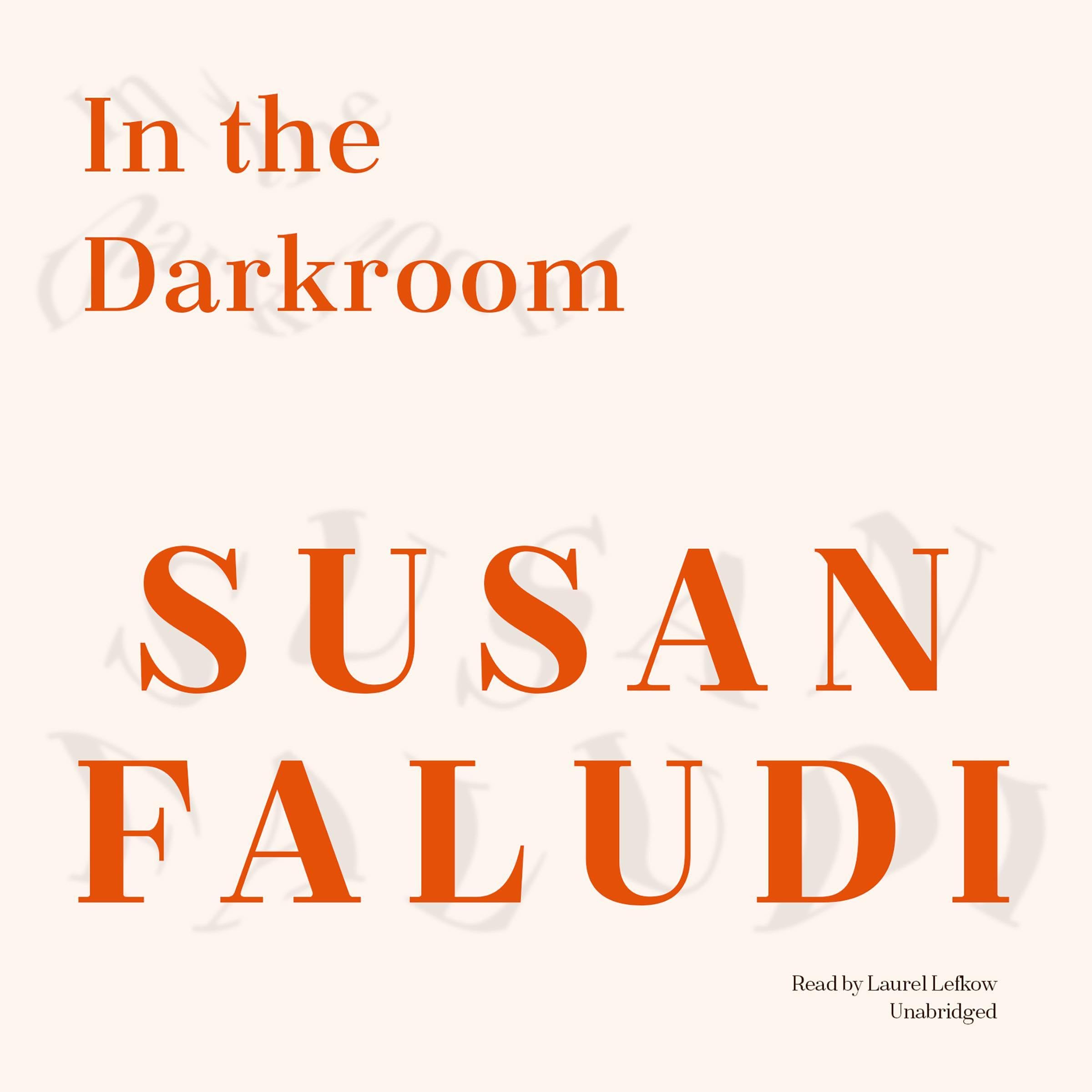 Cover art for In the Darkroom
