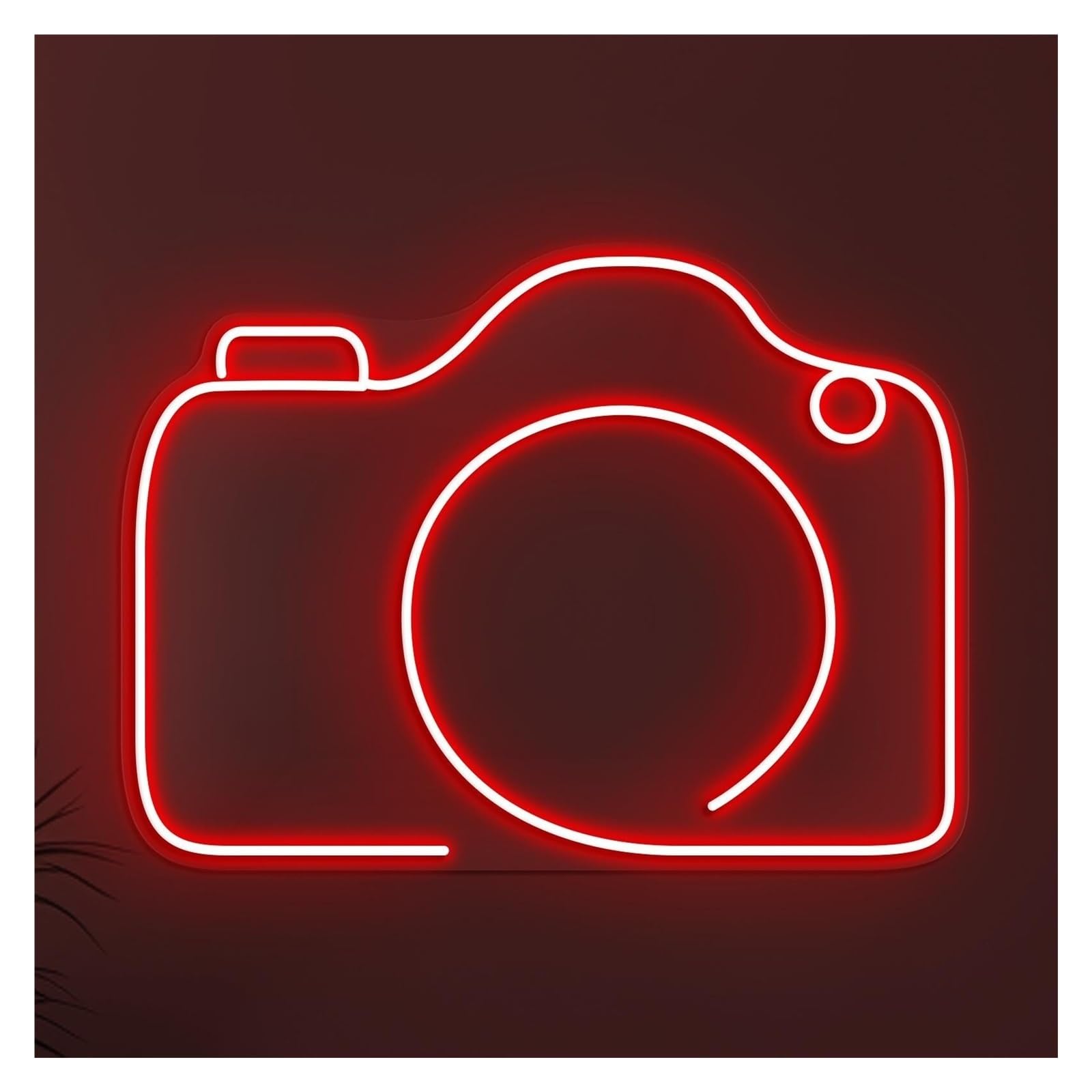 RONGCH Hanging Art Signs Camera Neon Sign Minimalist Design, Suitable for Photo Studio Decor with Brightness Adjustable 38cm