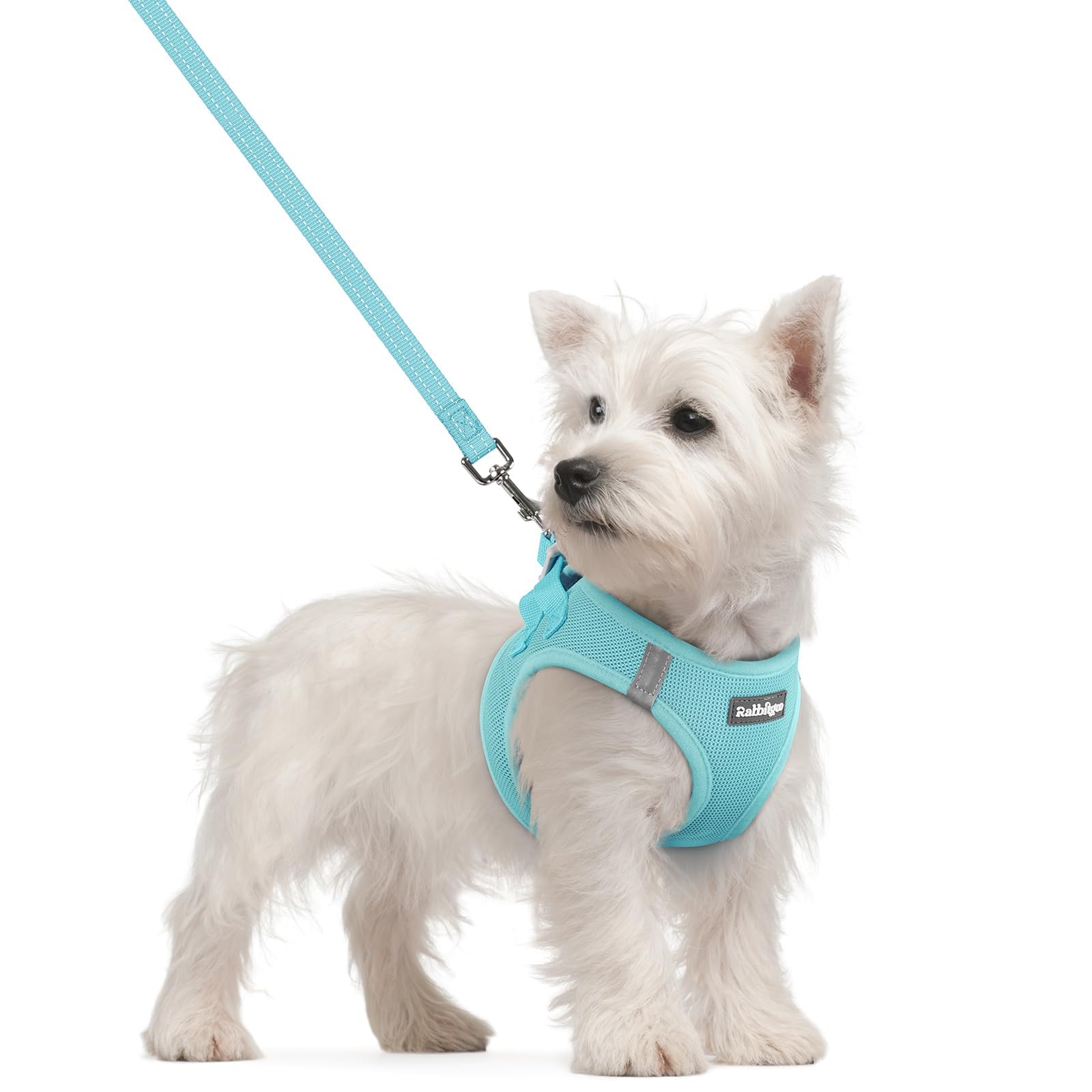 rabbitgoo Dog Harness Small Dog and Leash Set, Step-in Soft Mesh Puppy Harness with Reflective Strips, Lightweight Breathable Pet Vest for Walking Training, Mint Blue, S
