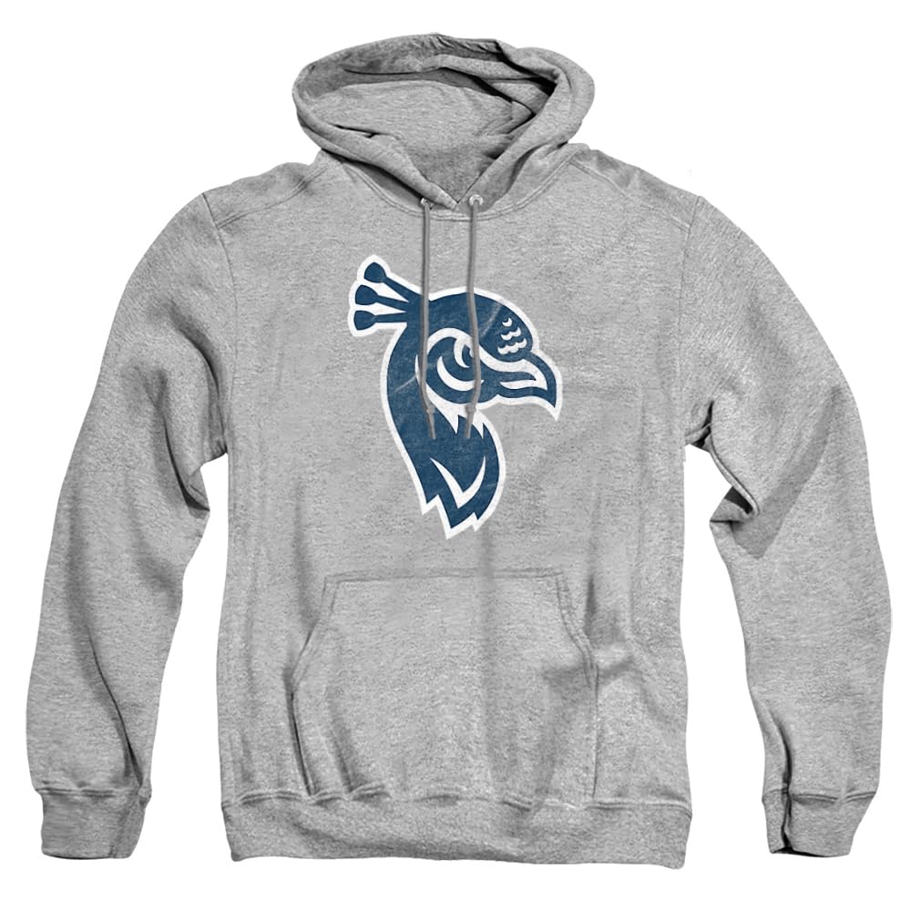 LOGOVISION Official Collegiate Distressed Primary Logo Adult Pullover Hoodie Collection — view 162
