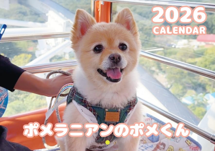 Amazon | 【予約販売】 ポメラニアンのポメくん 犬 2026年 壁掛け