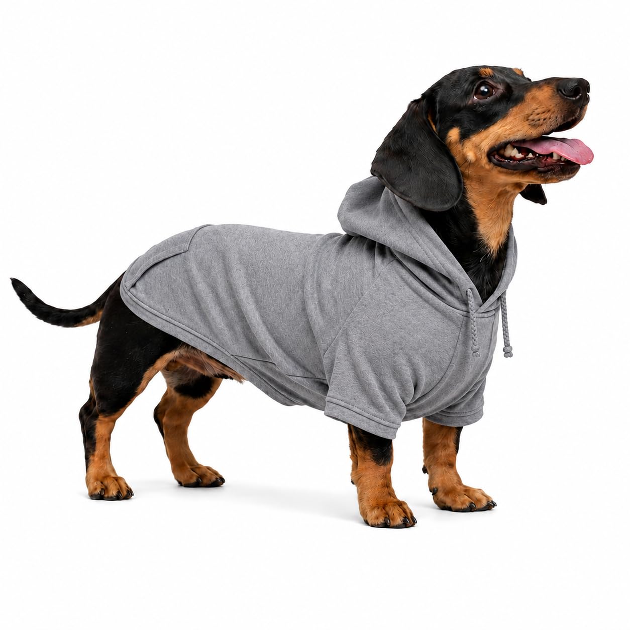 Lovelonglong Blank Basic Hoodie Sweatshirt for Dogs 100% Cotton Fits Small Medium Dachshund Large Dog Gray D-S โ image 1
