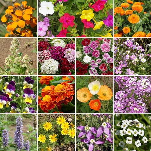 Image of Ferry-Morse Fragrant Bulk Wildflower Seeds, 370,000+, 1 lb