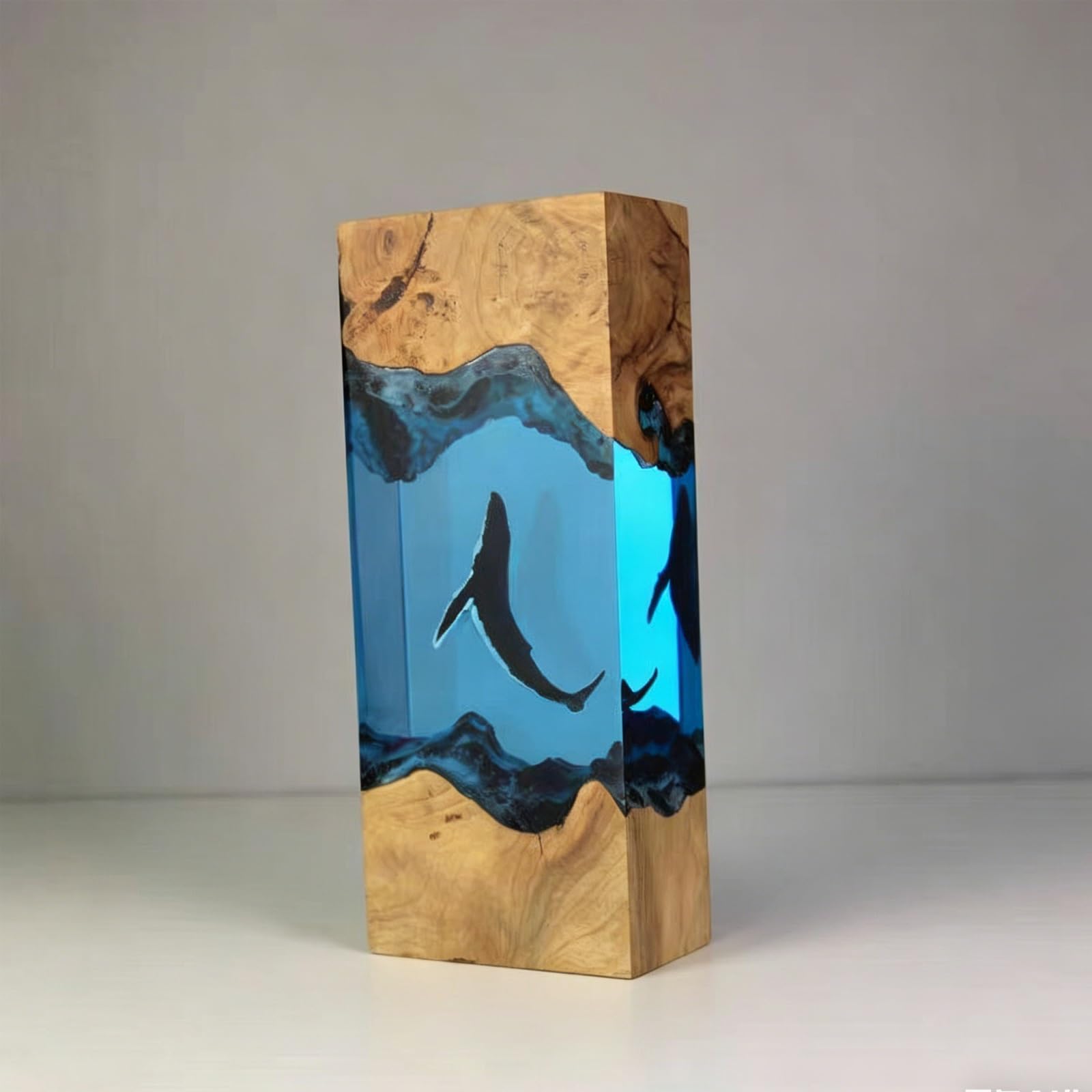 FGJtguE Woods lamp, with Couple Diver & Whale Shark USB LED Night Light Underwater Diorama,Decor for Marine Lovers(L)