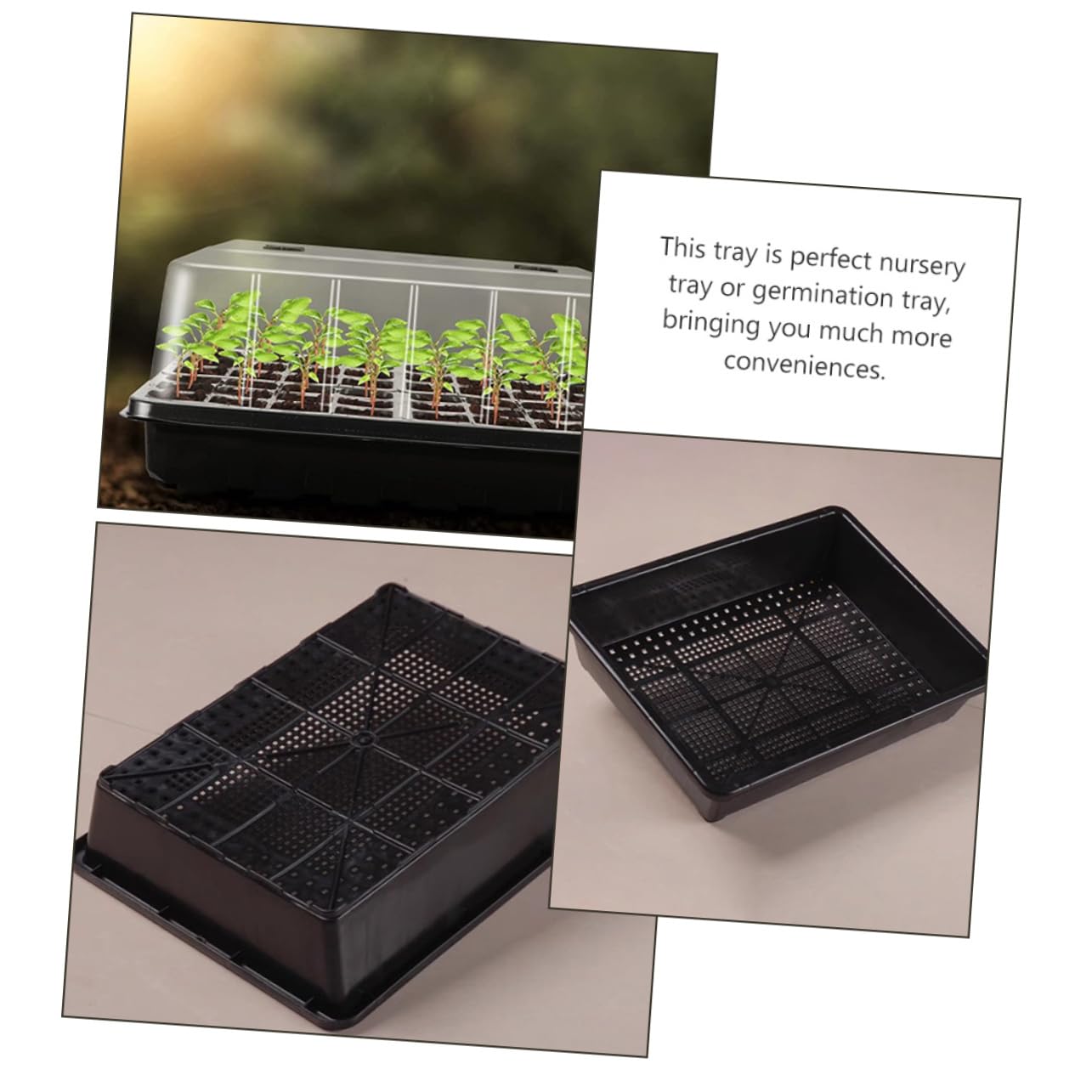 VANZACK Vassoi per Piante in Plastica Cupola per Semina di Piantine Vassoi Stella per Piantine con Semi per da Giardino Contenitori per Fiori di