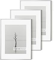 Vista 504 de Fun Memories Portarretratos de metal de 16 x 20 pulgadas con paspartú de 11 x 14 pulgadas, acabado de aluminio cepillado, parte delantera de vidrio