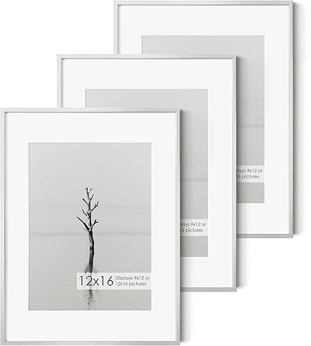 Miniatura 504 de Fun Memories Portarretratos de metal de 16 x 20 pulgadas con paspartú de 11 x 14 pulgadas, acabado de aluminio cepillado, parte delantera de vidrio