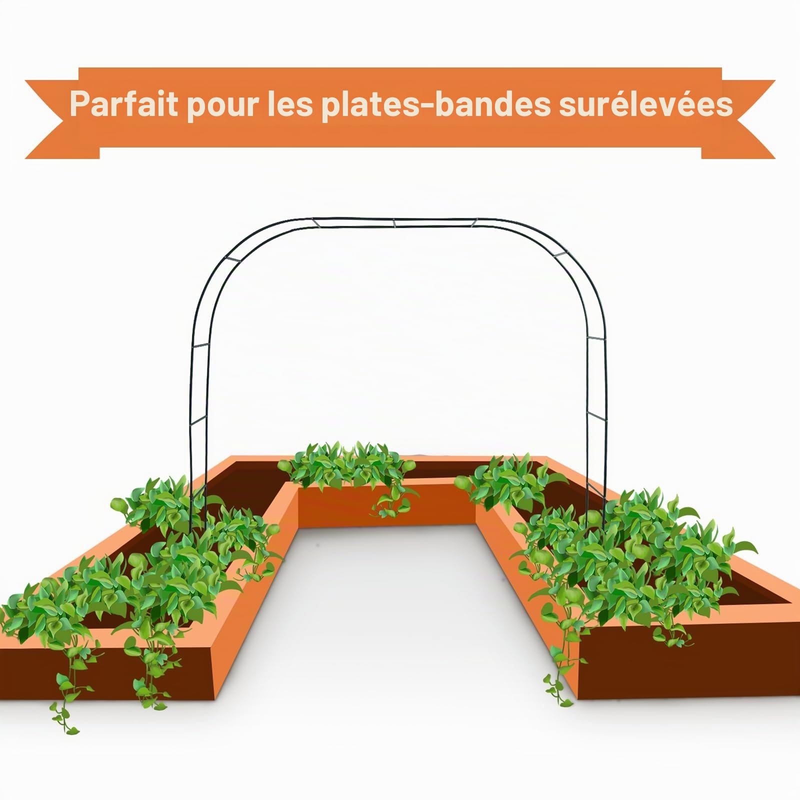 Mr. Ton Arche de Jardin, Arche de Mariage, pergola de Jardin pour intérieur/extérieur, pelouse de Jardin, diverses Plantes grimpantes, 2,3 m de Haut x 1,2 m de Large