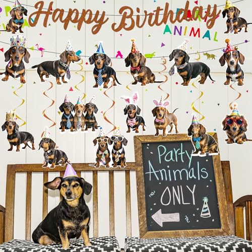 Image of 10Pcs Dachshund Birthday Party Decorations Weiner Dog Banner with Hanging Swirls Decor Dachshund Dog Party Supplies Puppy Bday Decoration