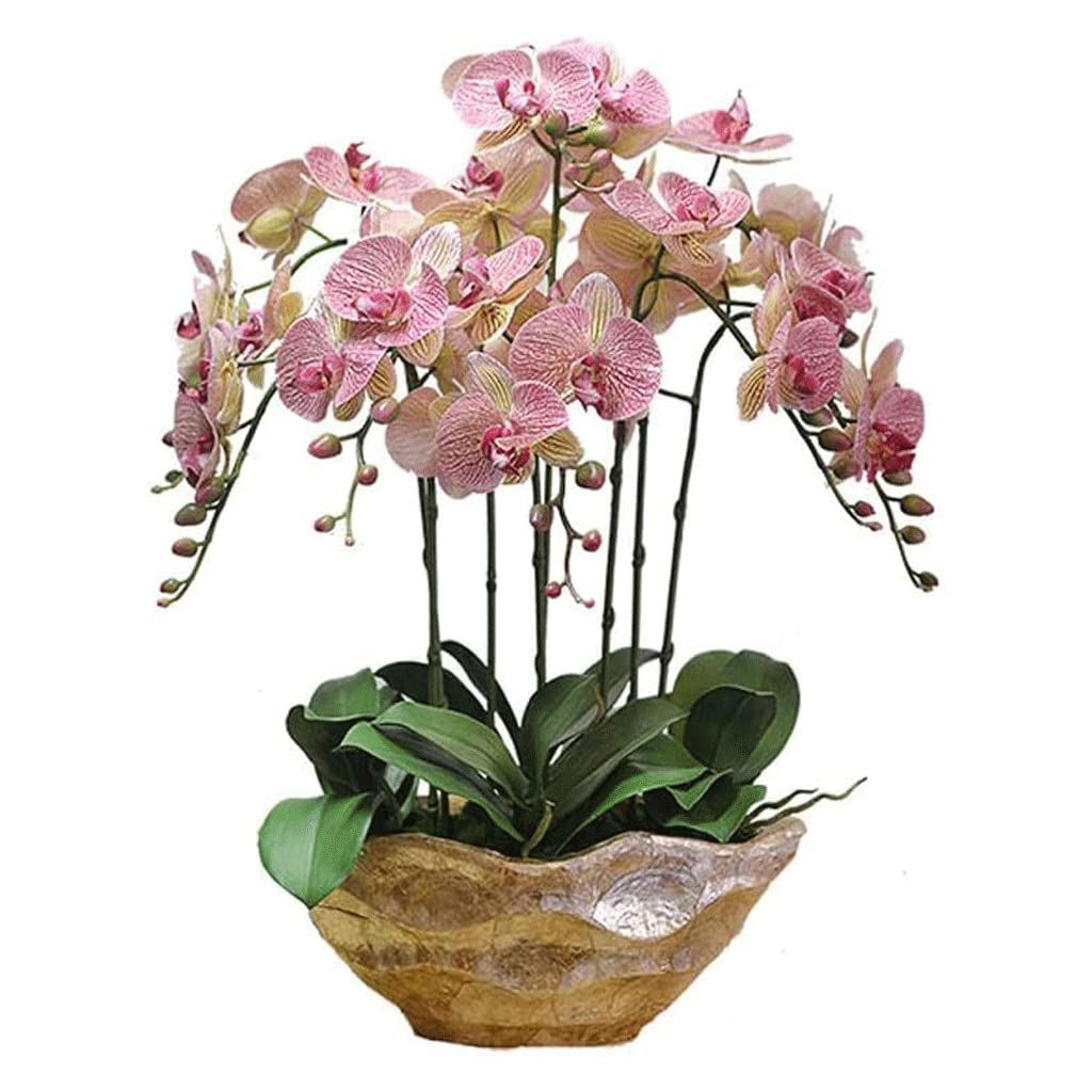 XDLEDMKIZ Orchid Artificial Flowers Premium Artificial Phalaenopsis Flowers Plant Arrangement Orchids Artificial Home Party Decoration Artificial Flowers natural look