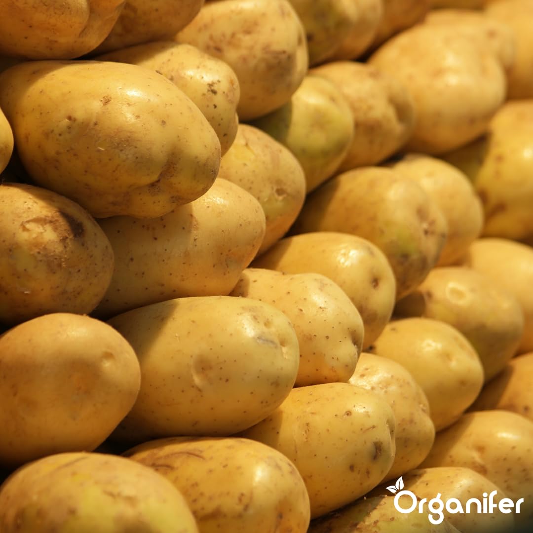 Fertilizante Líquido Para Patata 2L – Abono Orgánico Para Hojas Saludables Y Crecimiento Fuerte – Refuerza Raíces Y Vitalidad – Organifer