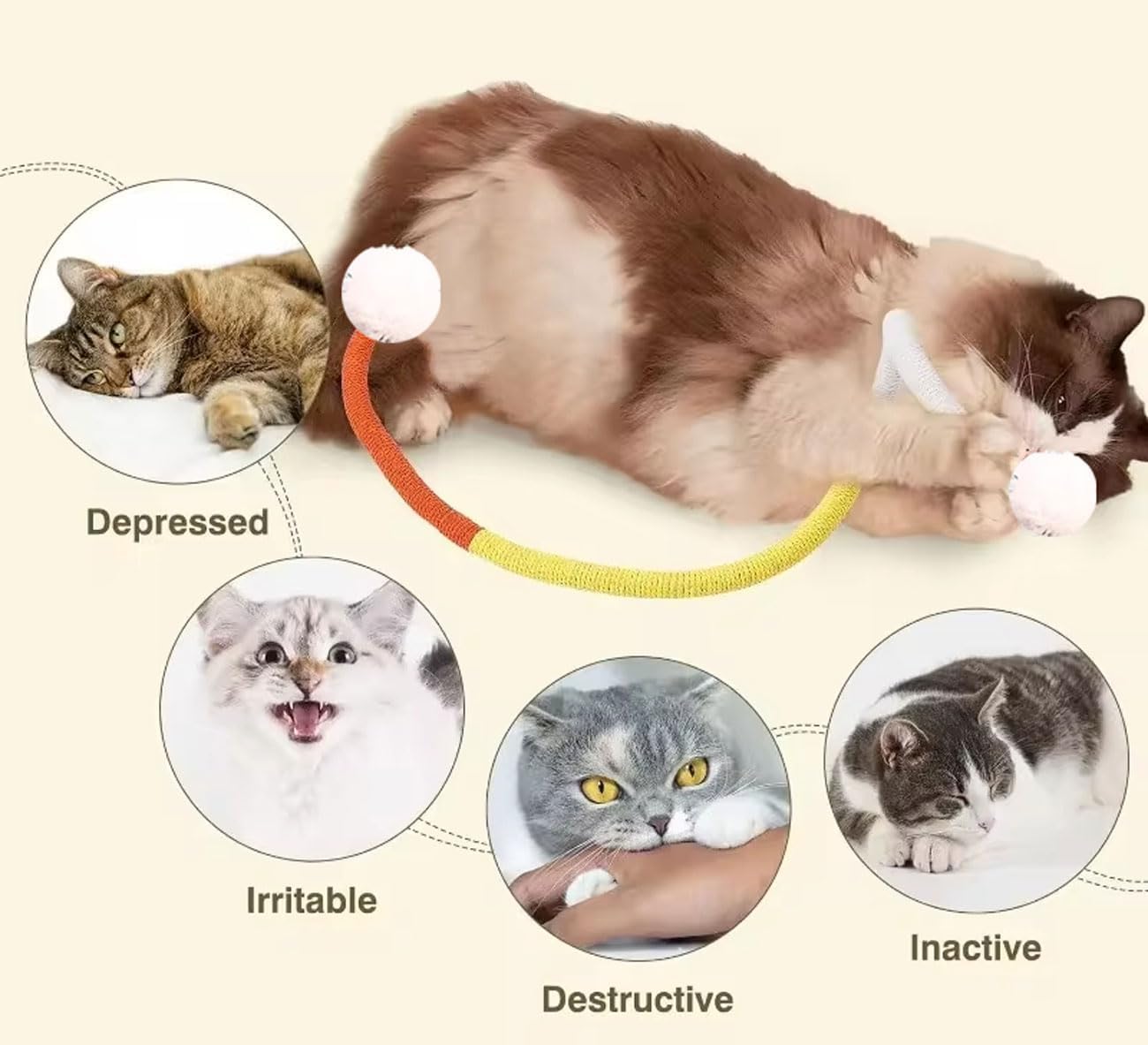 Honosen 4er Set Katzenminze Spielzeug - Zahnreinigung & Beschäftigung Für Stubentiger
