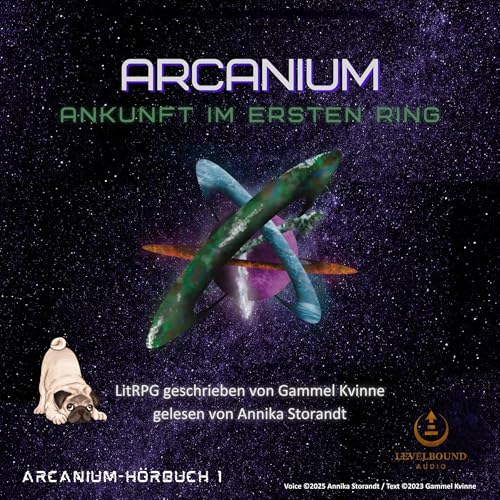 Page de couverture de Herausforderung im ersten Ring