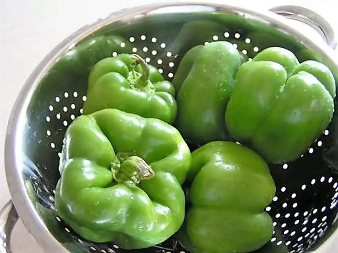Willvine Sweet Green WONDER Bell PEPPER Capsicum-VS-4W-image-43