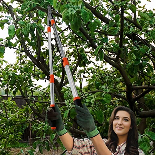 Ébrancheur extensible Thanos pour tailler les branches hautes sans échelle - 8