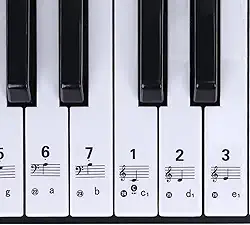 Adesivo Para Teclado Musical Com Notas Para Iniciantes