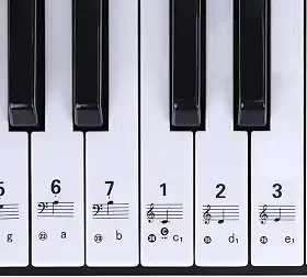 Adesivo Para Teclado Musical Com Notas Para Iniciantes