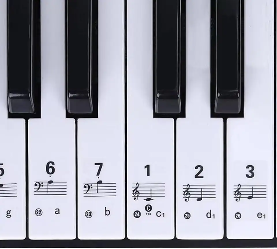 Adesivo Para Teclado Musical Com Notas Para Iniciantes