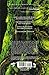 Saga of the Swamp Thing, Book 1