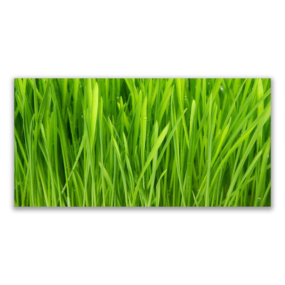 Tableau mural weed floral en verre trempé 120x60cm pour sublimer votre salon Tulup