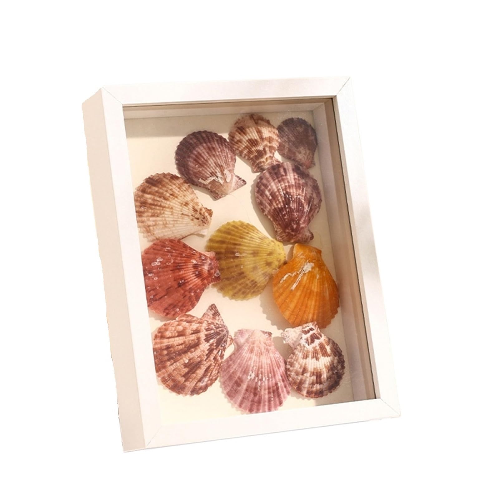 2PCS Shadow Box Frame 3D Hollow 3cm 5cm Photo Dried Flower Specimen Holder Handmade DIY Handwork Display Home Decoration for Tabletop and Wall(White,Rectangle-6in)