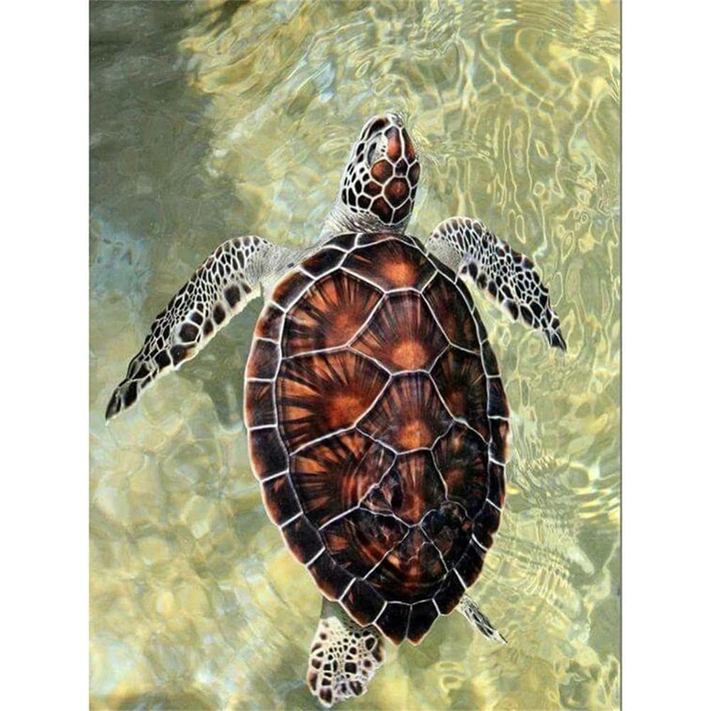 Yeerum Kit Pittura Diamante 5D - Tartaruga Marina E Pesce, 30x40cm, Decorazione Wall Art Per Casa