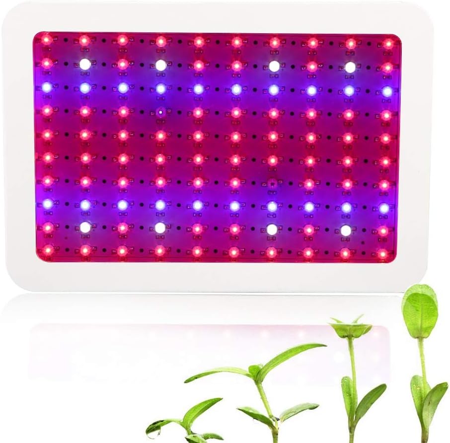 luci idroponiche per piante d'appartamento