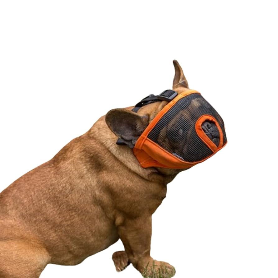 フレンチプードルさま専用！ フレンチプードルさま専用！