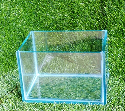 Image of Parko Home Decoration Turtle Aquarium Tank Beautiful Fashion Clear Glass Mini Fish Tank Aqua Habitat Aquarium Tank Only (Colour May Vary, Rust Resistant, Pack of 1)