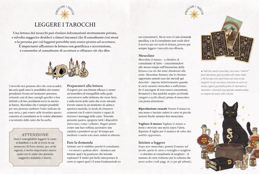 Tarocchi magici dei gatti. 78 carte e un manuale per veri devoti dei felini. Ediz. a colori. Con 78 Carte
