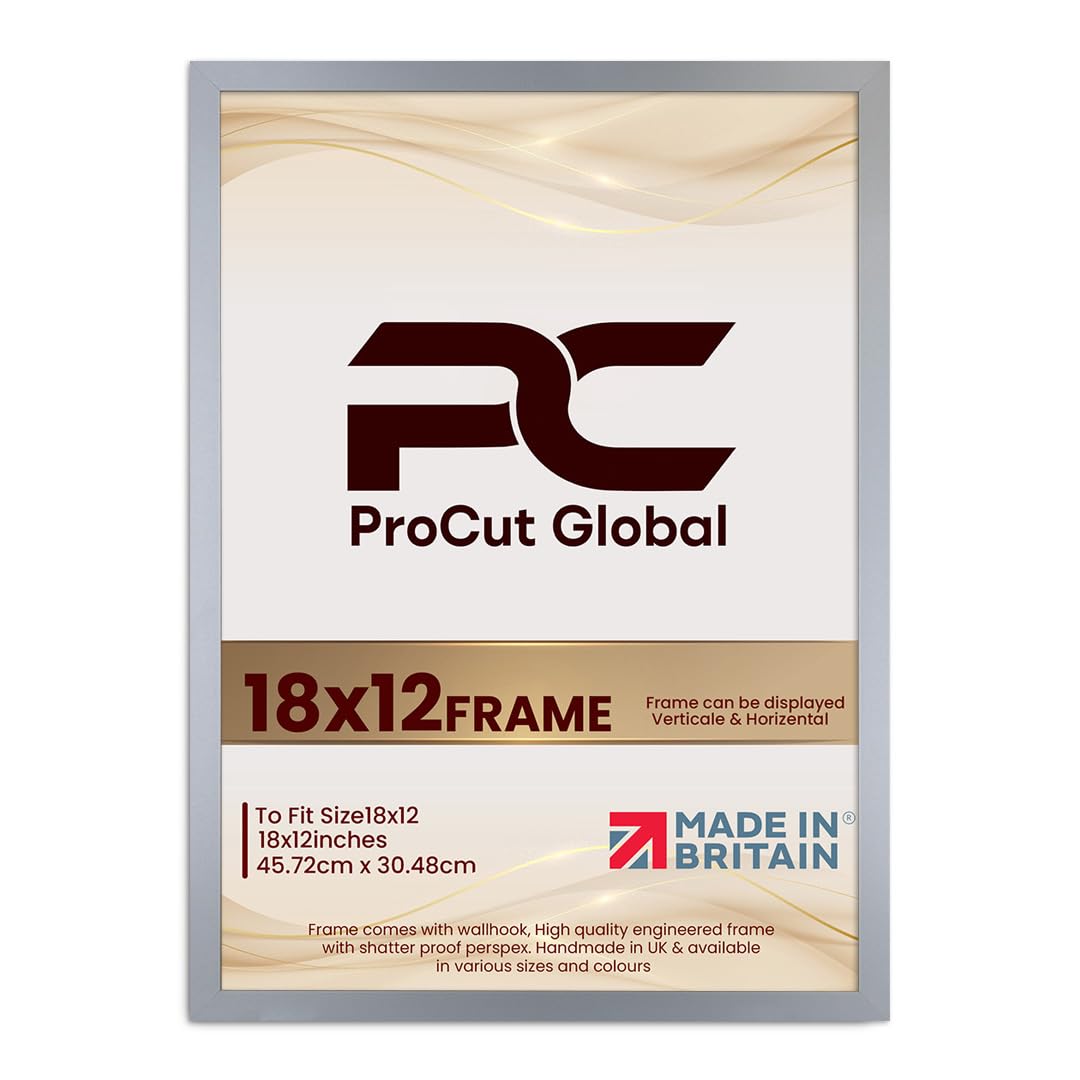 Procut Global 18X12 Silver Picture Frames - Modern Wooden Photo Frame with Shatterproof Perspex for Wall or Tabletop - Perfect for Posters, Certificates, Prints - Sizes & Colors Available