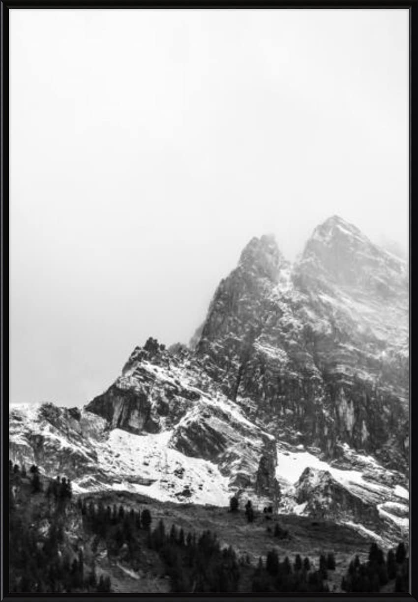 モノクロ象のフォトフレーム Amazon.co.jp: 18 x 26 ポスターフレーム - プロフィール：#15