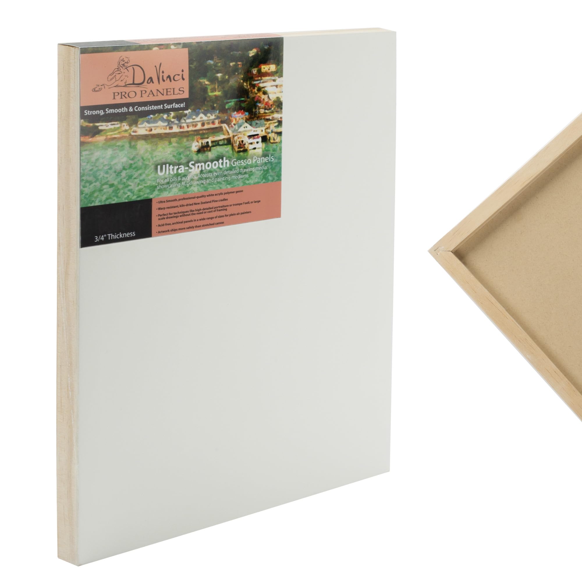 Amazon.com: Da Vinci Pro Ultra Smooth Wood Canvas Gesso Board - 3