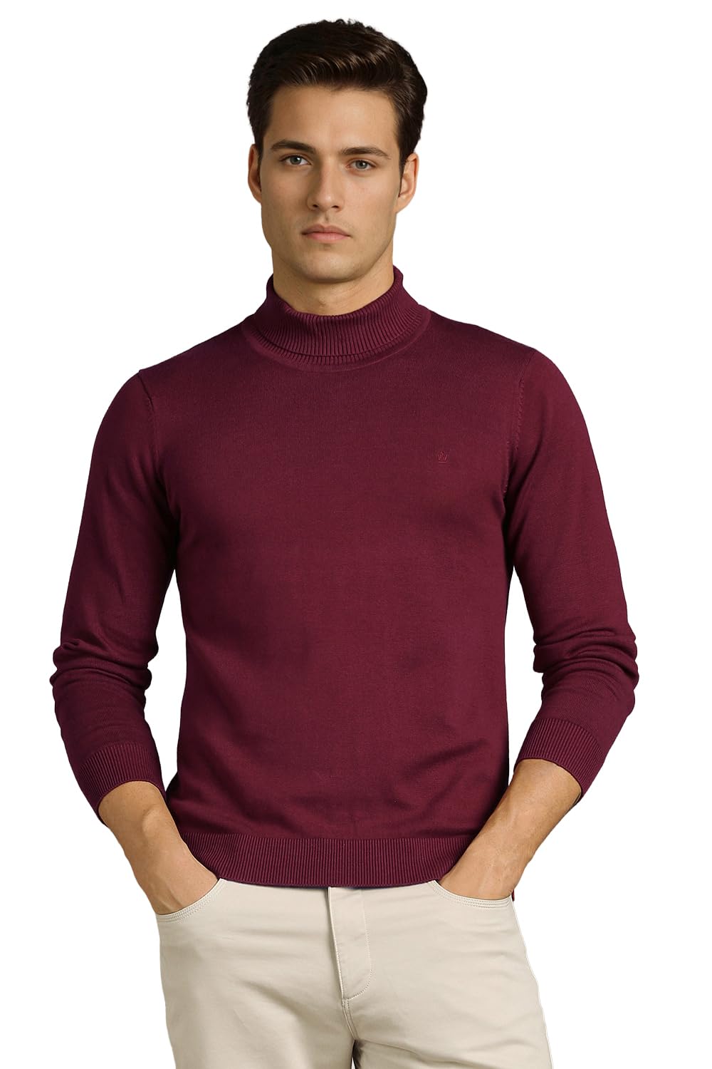 louis philippe Men Sweater-picture-32