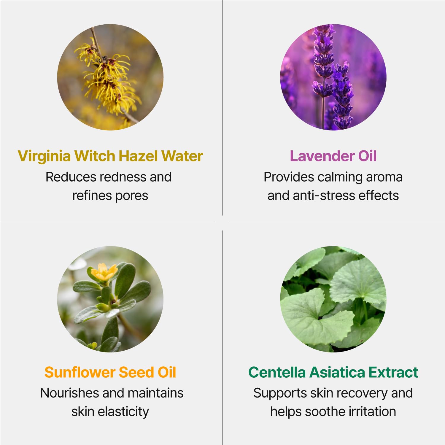 Gelmoisture 1.01 fl oz (30ml) – Lightweight Hydrating Gel Lotion with Witch Hazel & Multi-Layer Moisture System for Daily Skin Hydration - Image 7