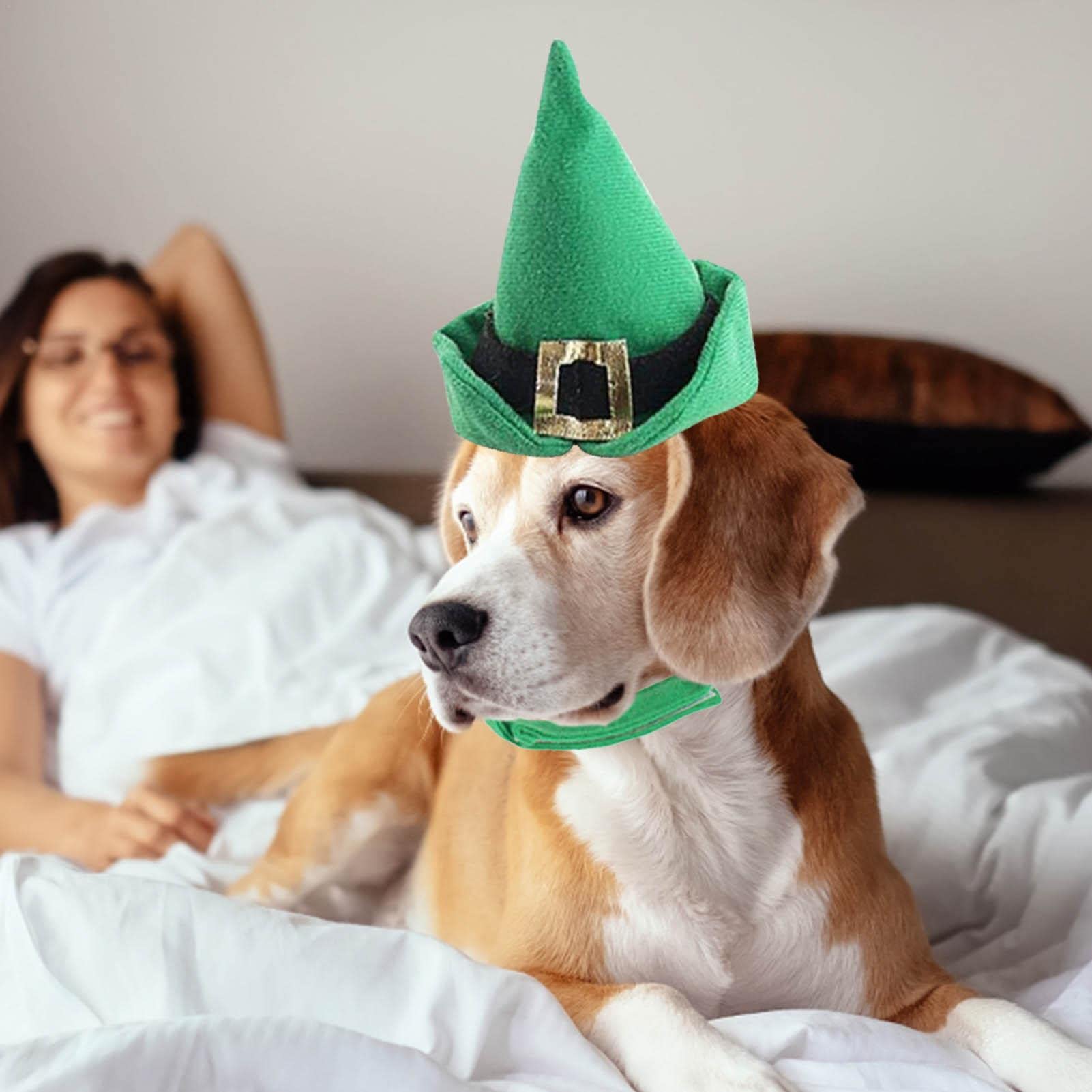 PET SHOW Weihnachtsmützen & Fliegen Für Hunde/Katzen – 4-teilig, Silbergrün