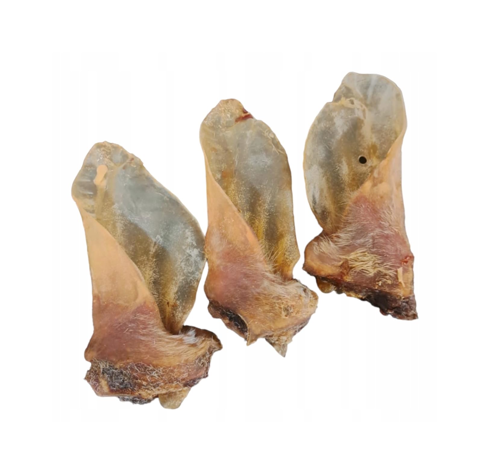 Premium Oreilles de bœuf pour Chiens, 1 kg, avec Coquillage pour Chiens de Grande Taille, XXL, Produit Naturel à mâcher, Lucze