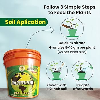 61etQ3tK-jL._AC_UF350,