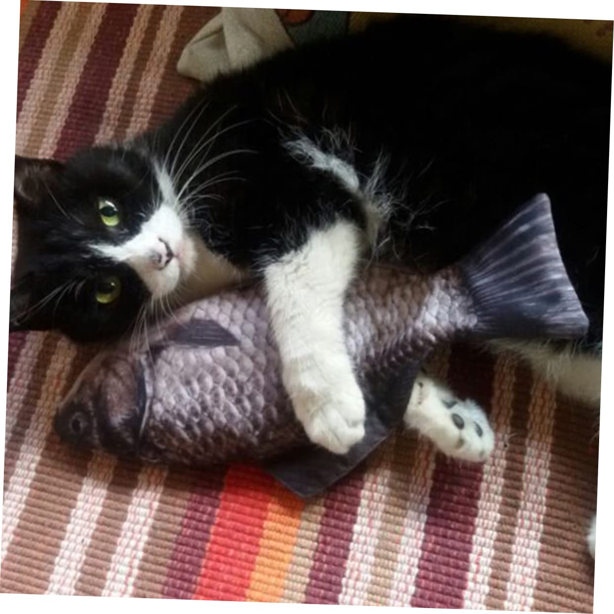 Veemoon 4 Ensembles Trousse À Crayons Forme De Poisson Sac À Stylo Et Pratique pour Chats Et Étui À Crayons À Capacité Et Poisson pour Chats pour Scolaires Et Amateurs Animaux 2 Pièces * 4